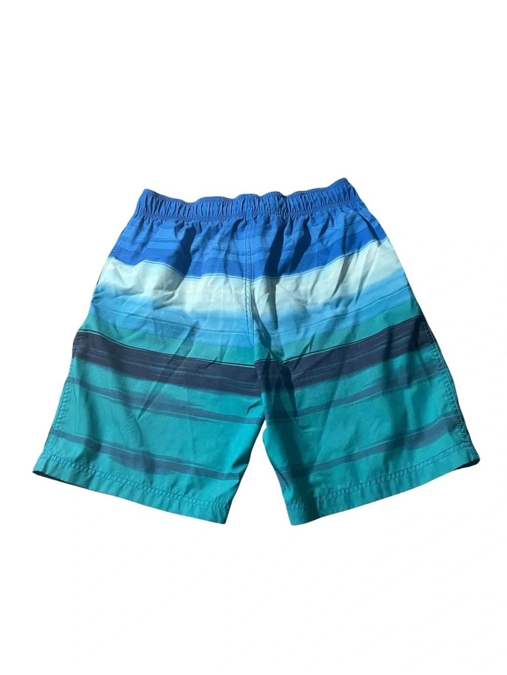 A5-Speedo Blue & Teal Striped Swim Shorts